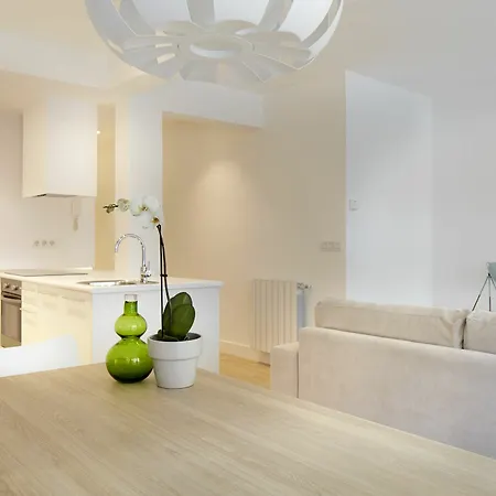 Karkizano By Feelfree Apartment San Sebastian